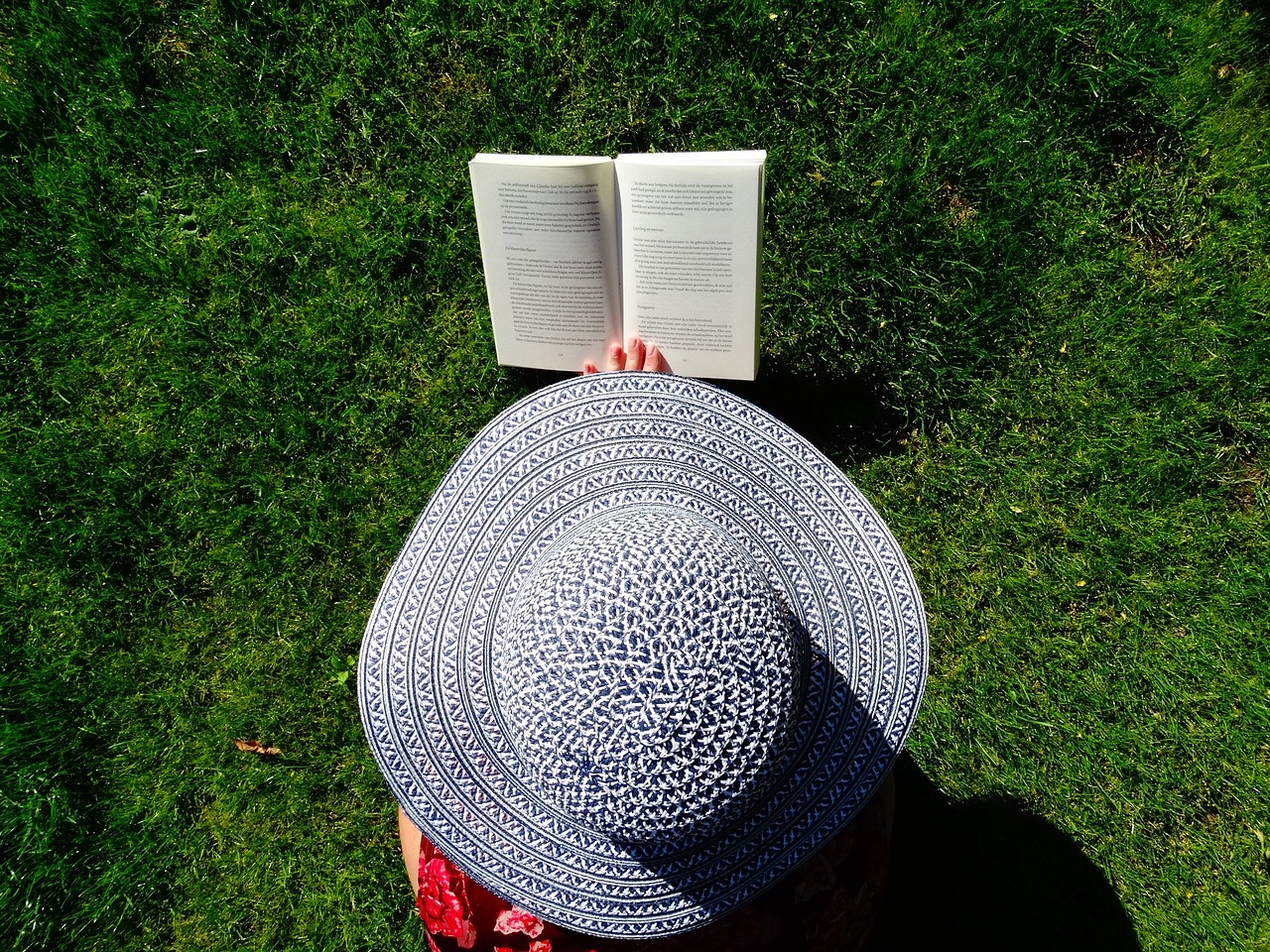 Personne dans l'herbe lisant un livre