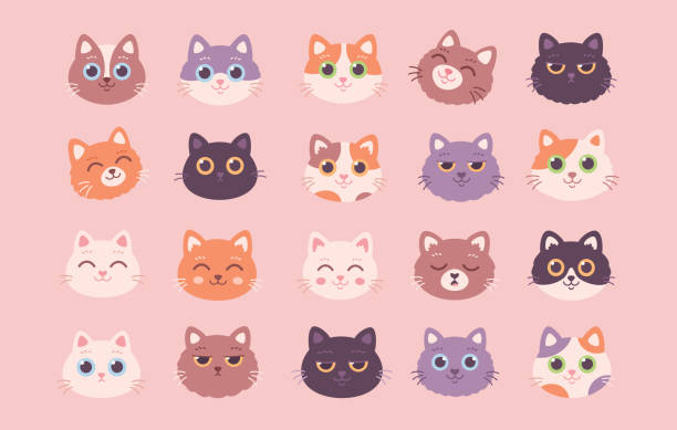 Illustration de chats