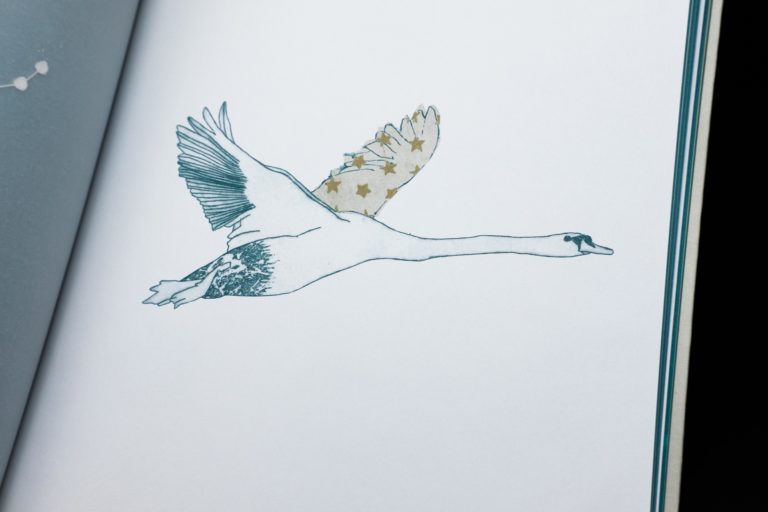 oiseau qui vole